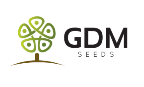 GDM Seeds